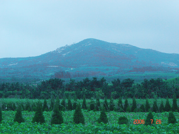“優(yōu)質(zhì)土壤”生態(tài)園遠(yuǎn)離城鎮(zhèn)，遠(yuǎn)離工業(yè)區(qū)，土壤絕對天然、環(huán)保、綠色無污染